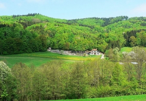 Falcons Mohr - der falkenhof