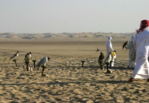 Falcons Mohr - united arab emirates